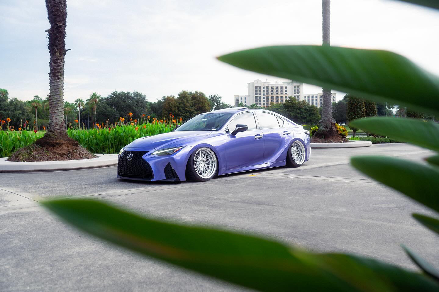 Gloss Metallic Liquid Metal Viola Purple - Milliotone