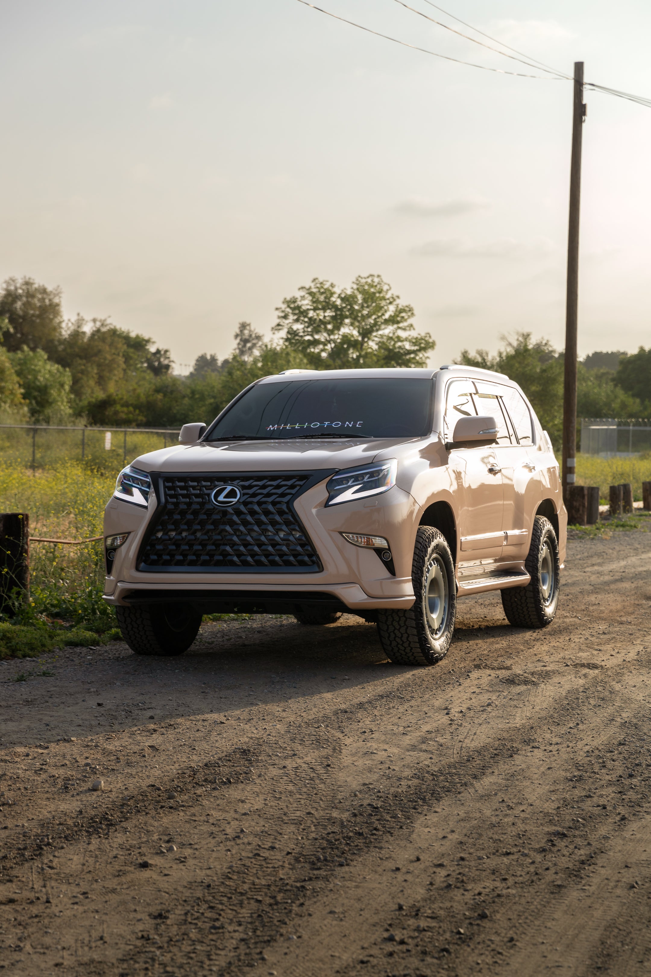 Gloss Milk Tea - Milliotone