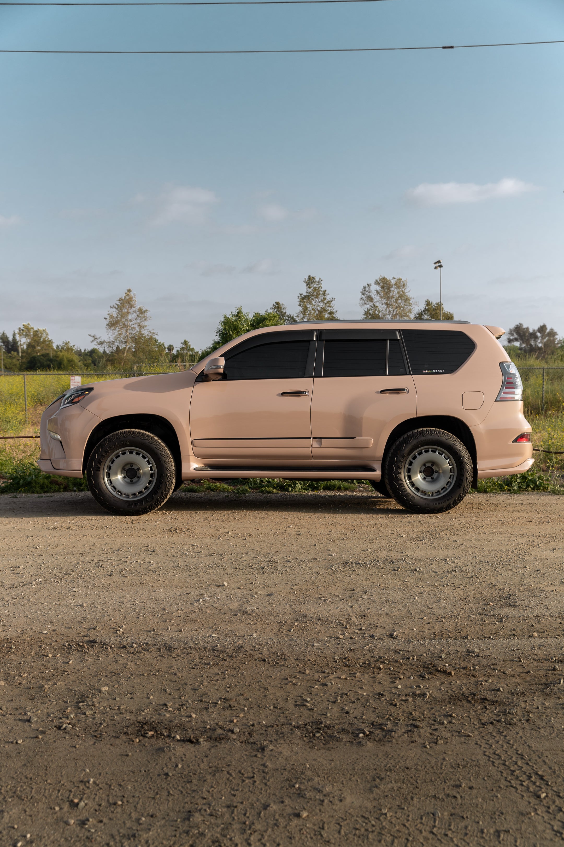 Gloss Milk Tea - Milliotone