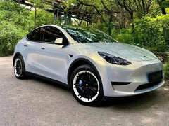 Gloss Iridescent Fantastic Mist - Milliotone