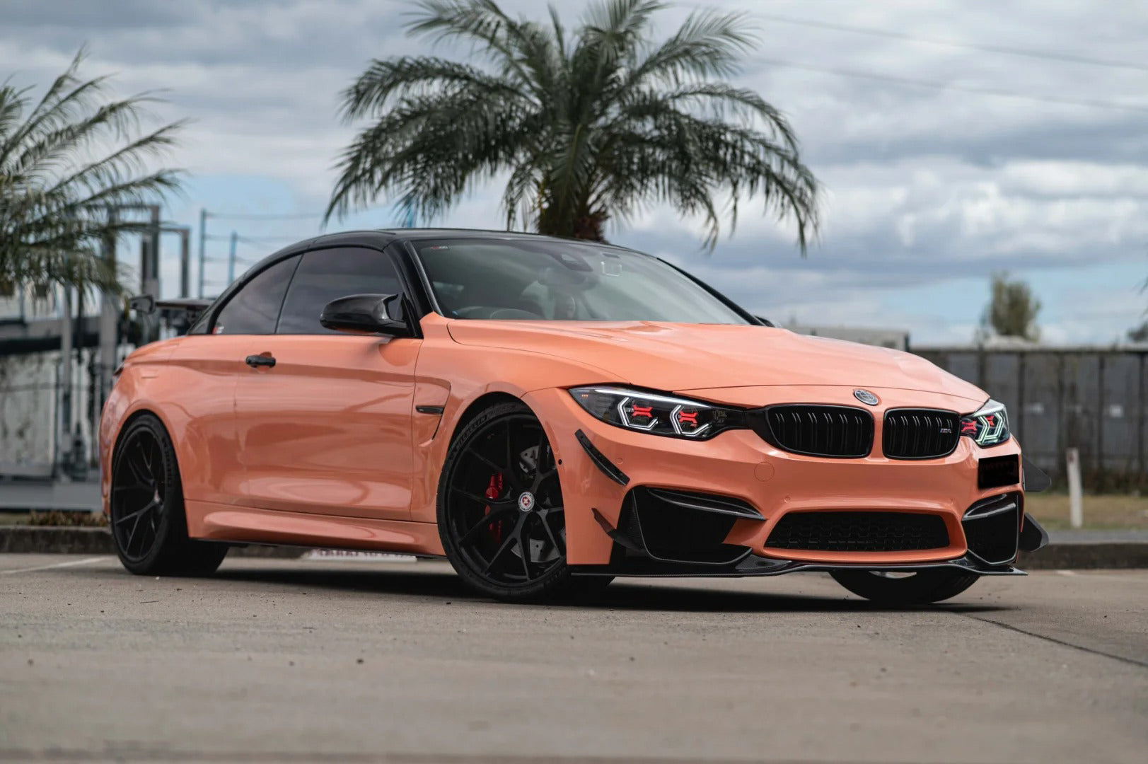 Gloss Piggy Bank - Milliotone