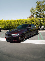 Super Gloss Metallic Black Rose