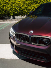 Super Gloss Metallic Black Rose