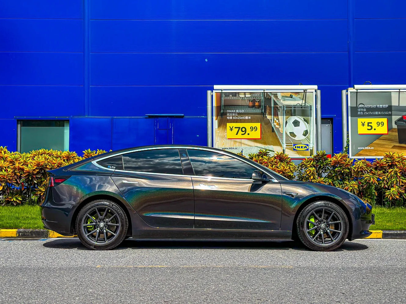 Gloss Holographic Psychedelic Black - Milliotone