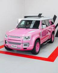 Gloss Holographi  Metallic Pink